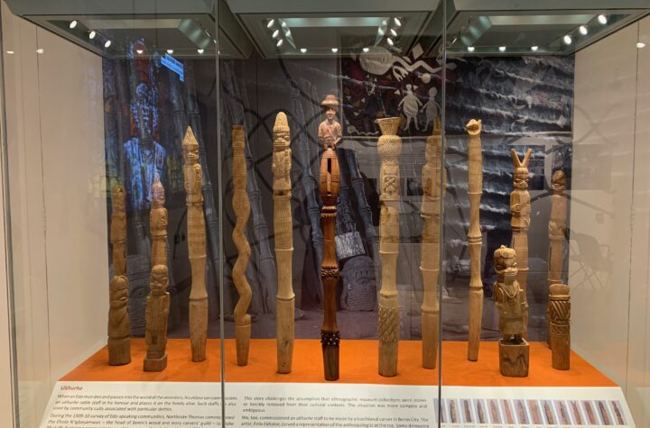 Museum case containing carved wooden staffs, most collected by Northcote Thomas, with one in the centre which is a newly commissioned carving of Northcote Thomas