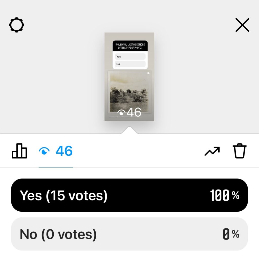 Screenshot of an instagram poll which asked followers if they wanted to see more photos that were not portraits. 100% (15 people) said yes.